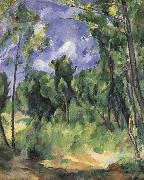 forest Paul Cezanne